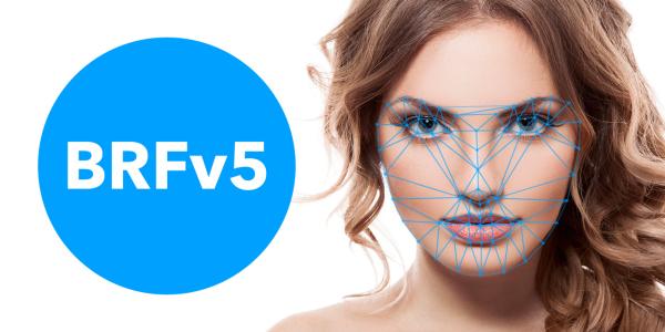 Tastenkunst/brfv5-browser: Beyond Reality Face SDK - BRFv5 - Platform: Browser