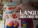 Langue des oiseaux - Regarder le documentaire complet | ARTE