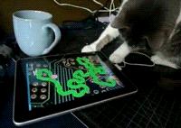 catgifpage67.gif (Image GIF, 200x142 pixels)